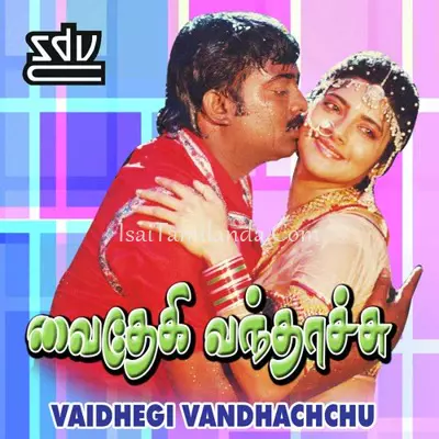 Vaidhegi Vandhachc.. Poster